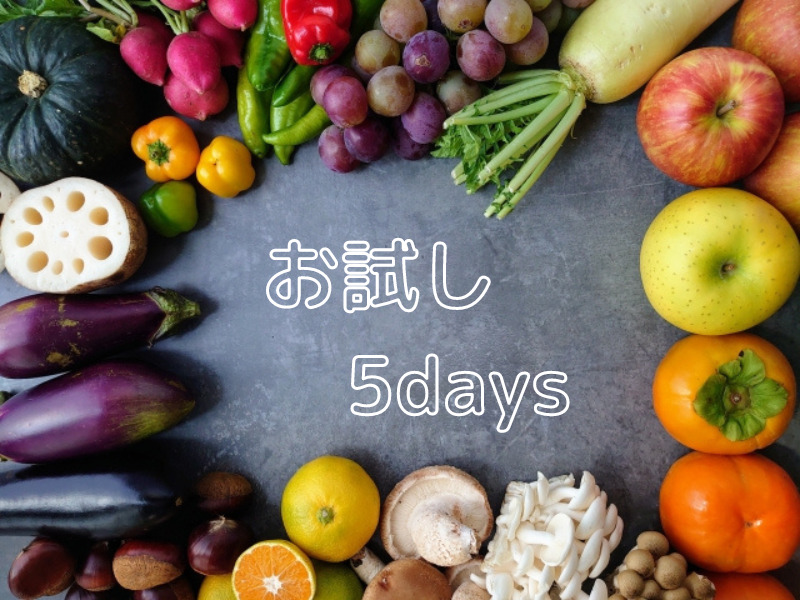 ヨシケイのお試しキャンペーンは勧誘なしでお気軽!【裏技でお得さUP】